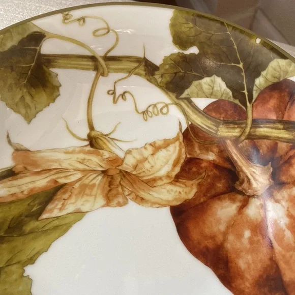 Sonoma Williams Botanical Pumpkin coupe soup bowl 8.75” x 2” deep - Picture 8 of 8